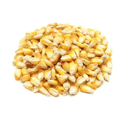 Giant Corn/ Mote Corn/ Chulpe Corn