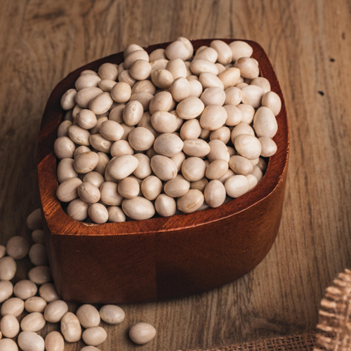 Bean/Baby Bean/ Caballero Bean/ Zarandaje Bean/ Panamito Bean