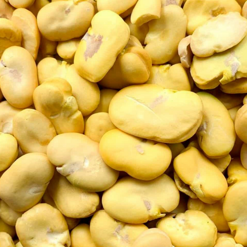 White/Green Beans - Dried/ Split Peeled Beans - Dried