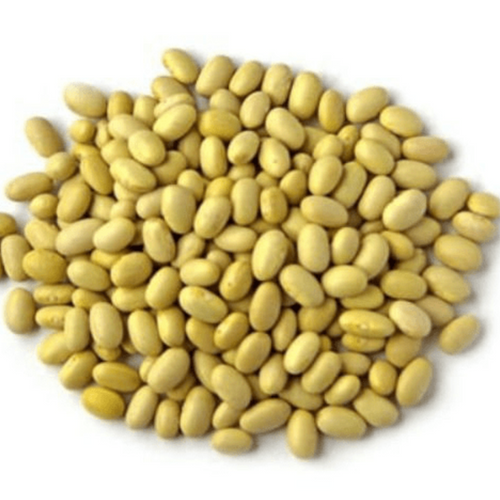 Castilla Bean/ Palo Bean/ Canary Bean