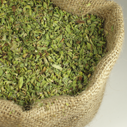 Oregano