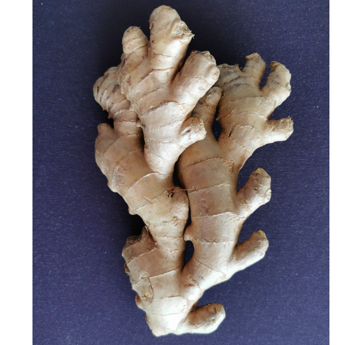 Ginger