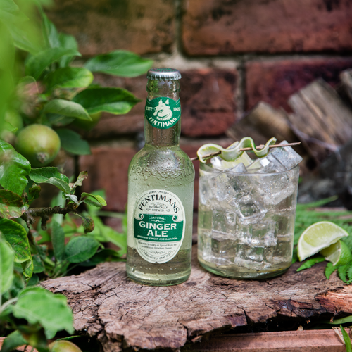 Ginger Ale 200ml