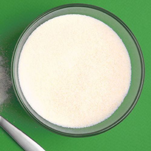 Skimmed Milk Powder