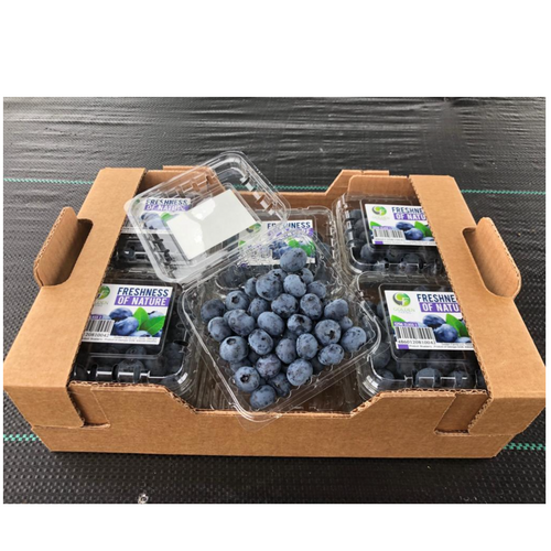 Fresh Blueberries