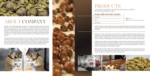 Anigozi_Brochure
