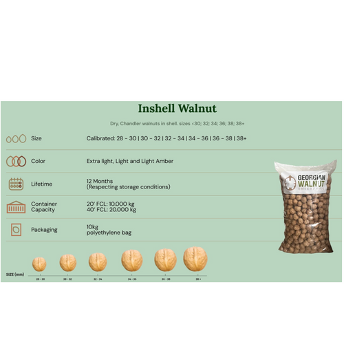 Walnut