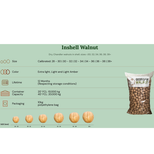 Walnut