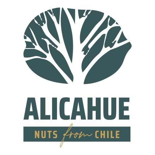 ALICAHUE BROCHURE