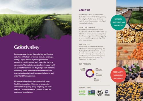 GOODVALLEY