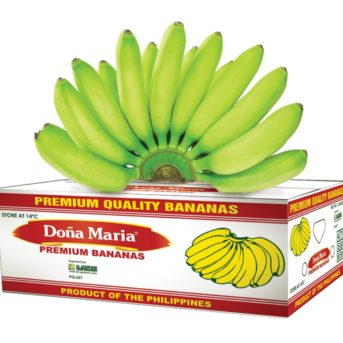 FRESH CAVENDISH BANANA