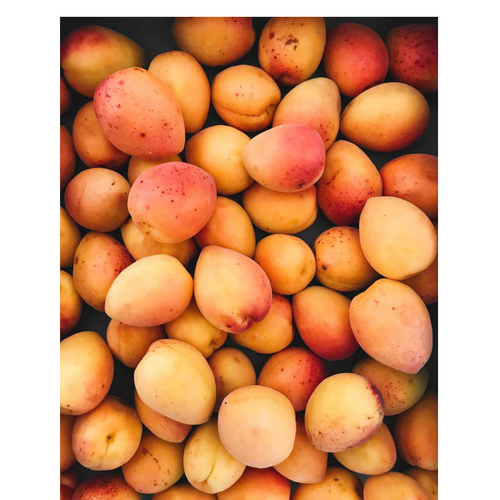 Apricots