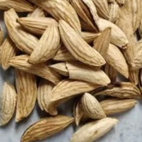 Afghan Almond In shell