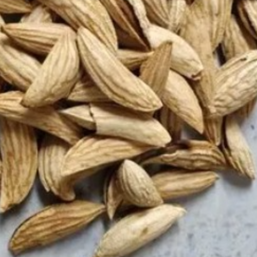 Afghan Almond In shell