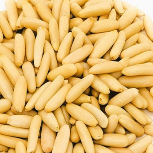 PINE NUTS