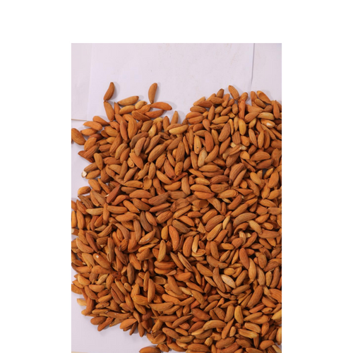ALMONDS KERNEL