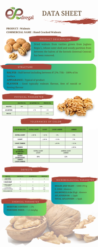 Data Sheet