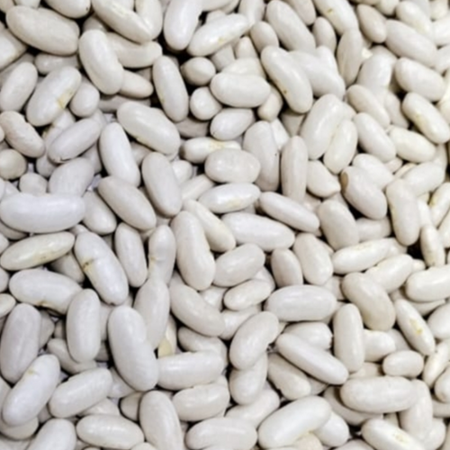 Cannellini Beans