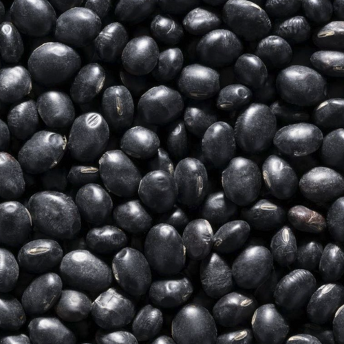 Black Beans