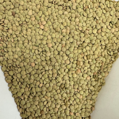 Lentils