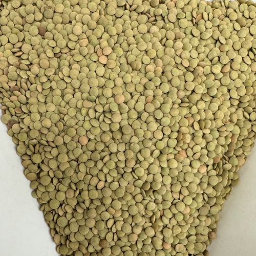 Lentils