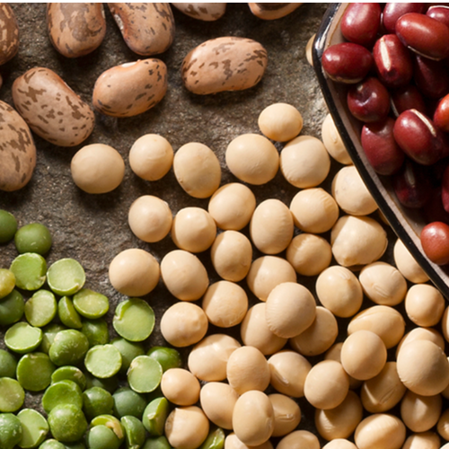 Edible Beans, Lentils, Peas, & Chickpeas
