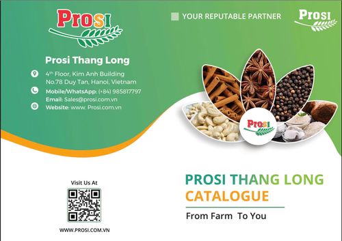 PROSI THANGLONG JSC