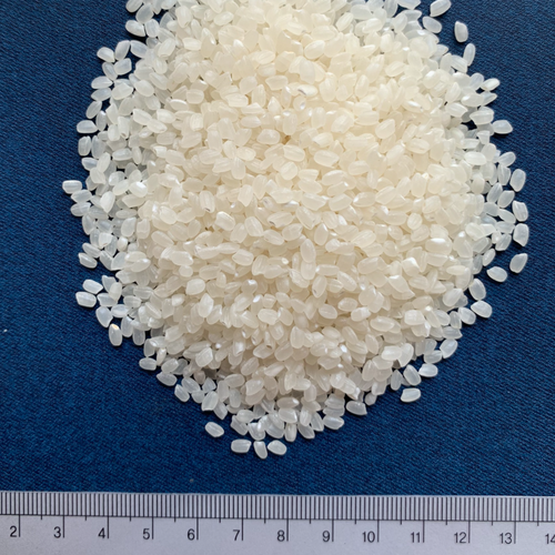 Vietnamese Japonica rice 5% broken