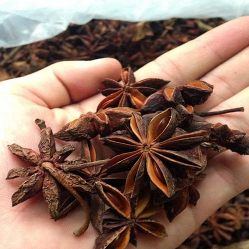 Star Anise