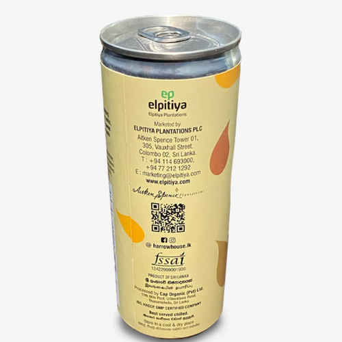 Tropifrut Tamarind Fizzy Drink 250ml