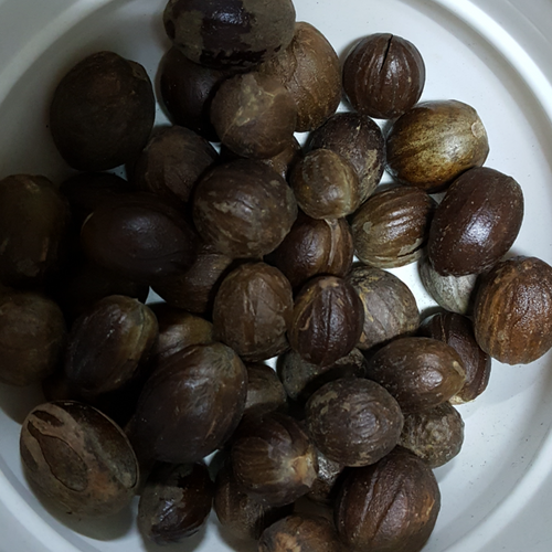 Ceylon Nutmeg with shell