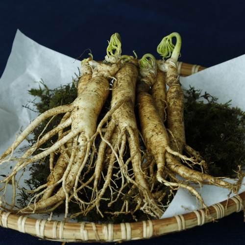 Ginseng powder