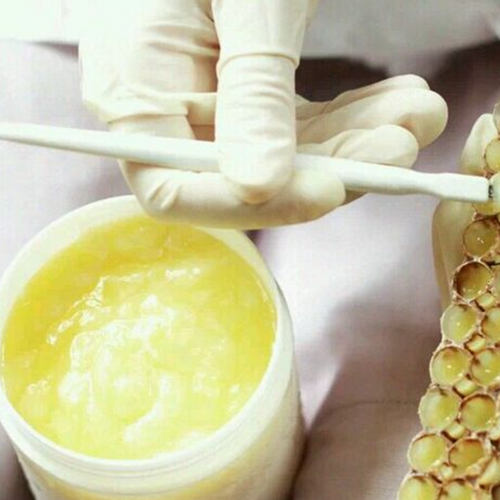 Royal jelly