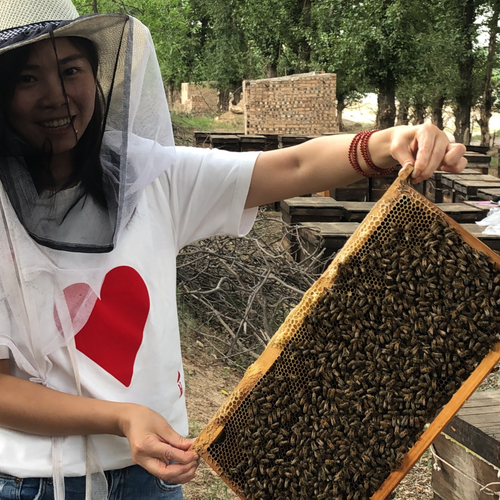 Honey