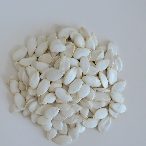 snow white pumpkin seeds