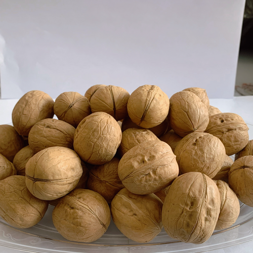 Chinese walnut in shell and walnut kernel