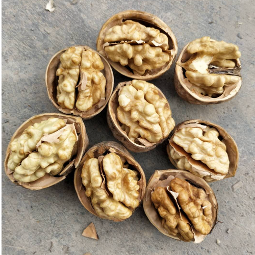 Chinese walnut in shell 185 type