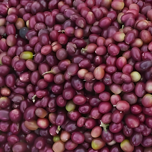 coffee beans