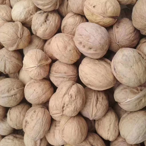 Walnuts in shell/walnut kernels