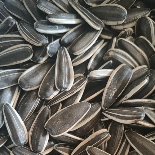 SUNFLOWER SEEDS- T6