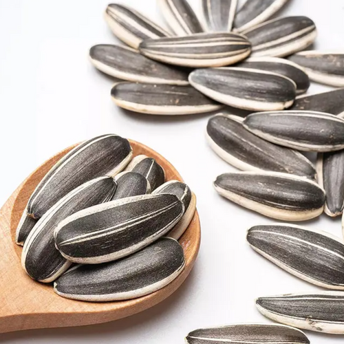 SUNFLOWER SEEDS-363