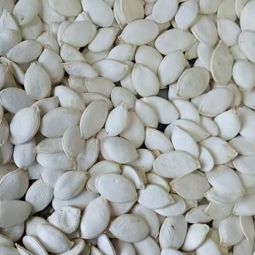 SNOW WHITE PUMPKIN SEEDS