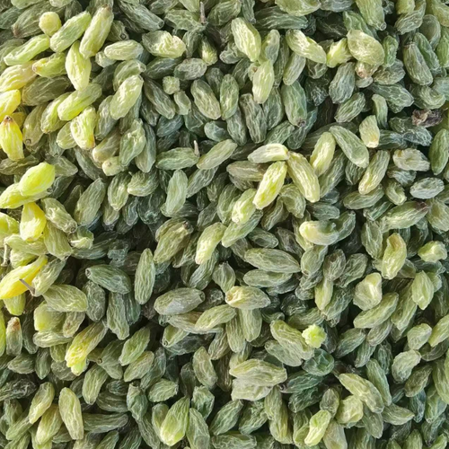 GREEN RAISINS