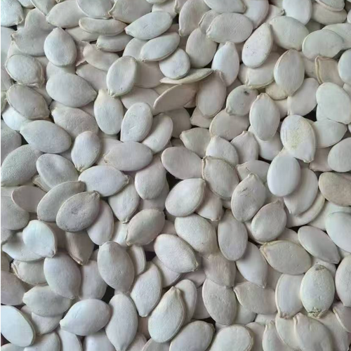 SNOW WHITE PUMPKIN SEEDS
