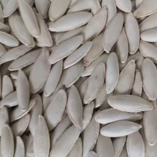 LADY NAIL PUMPKIN SEEDS