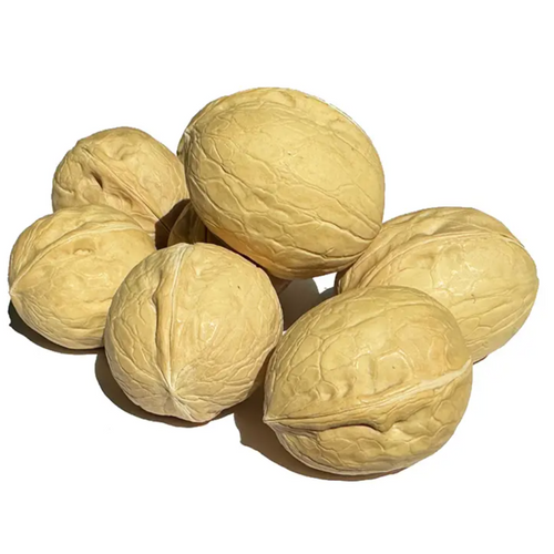 33 WALNUTS