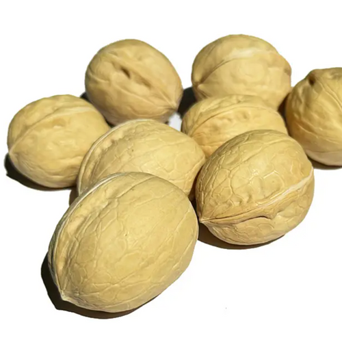 33 WALNUTS