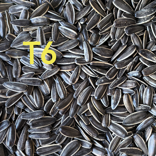 T6, sunflower seeds T6 from Inner Mongolia, China factory supplying