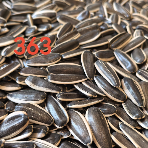 363 sunflower seeds factory Inner Mongolia China