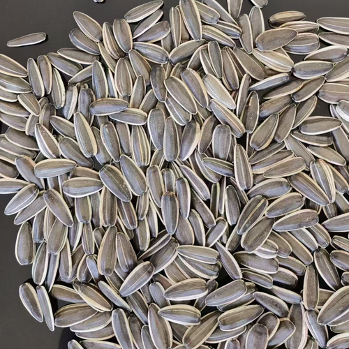 sunflower seeds 361